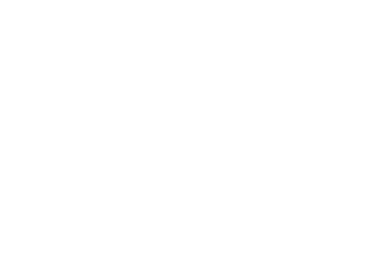 BURGO