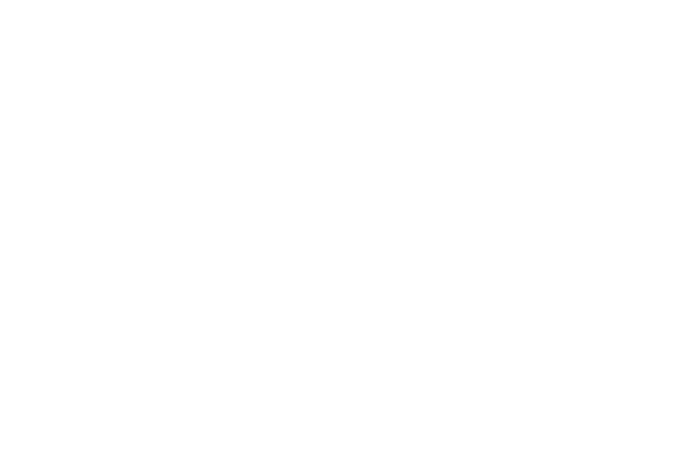 BISAZZA