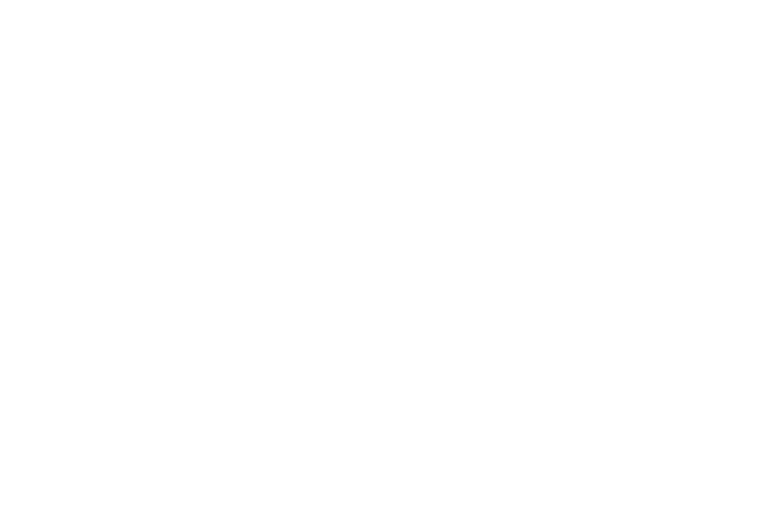 CAMPAGNOLO