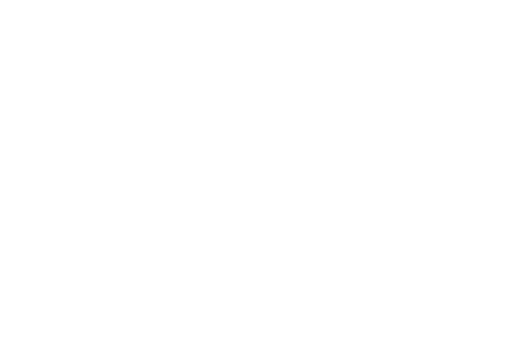 DE RIGO VISION