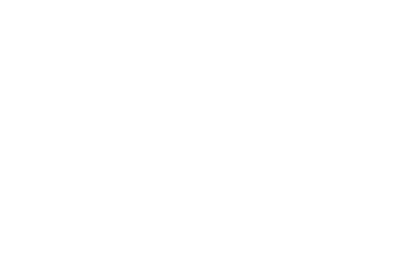 GATTO ASTUCCI