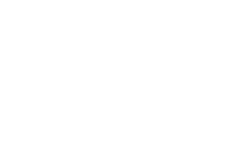 MONDIAL COLOR