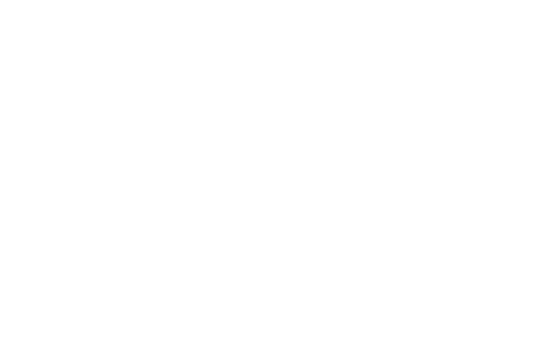 VERNICI CALDART