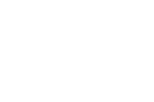 ZANIN
